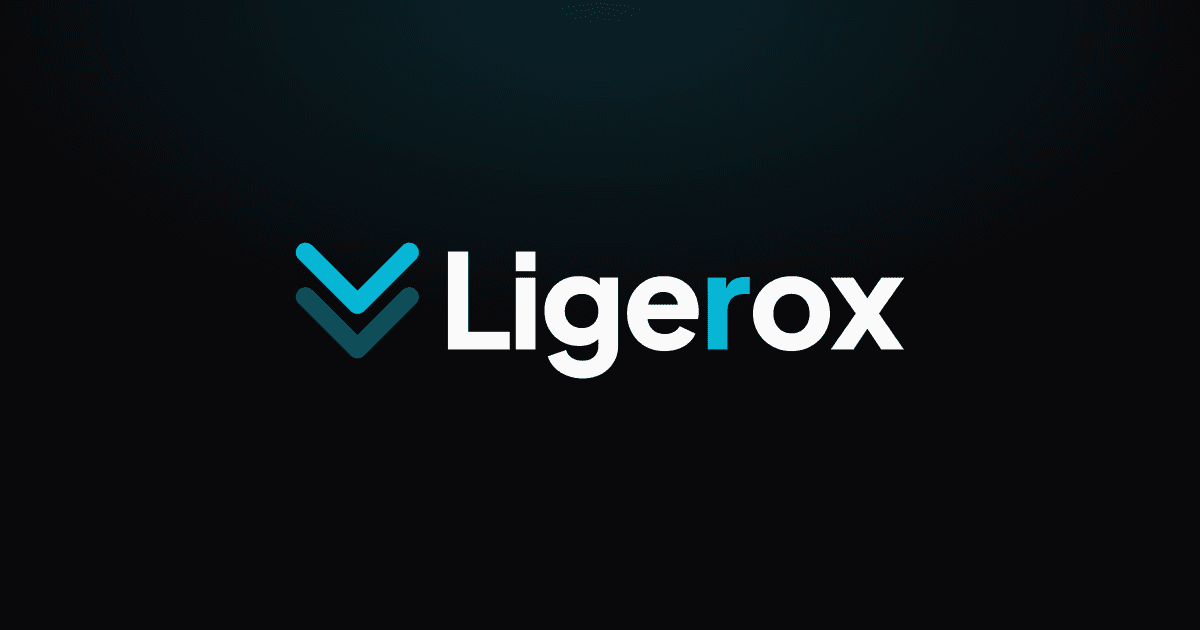 Pagina web ligerox